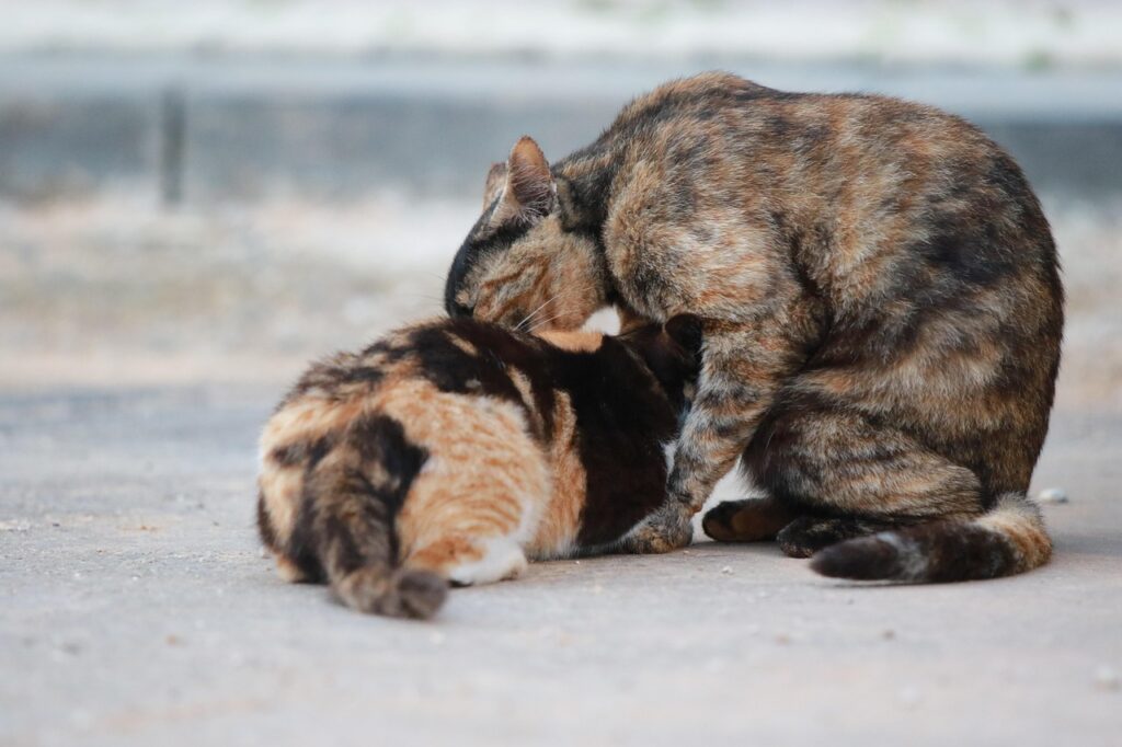 産後の骨盤矯正は名古屋栄周辺でどこがオススメ？