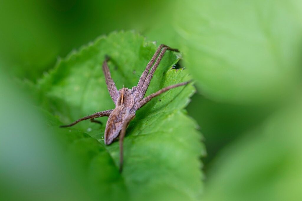 産後整体で兄弟同伴の託児サービスはどこで受けられる？