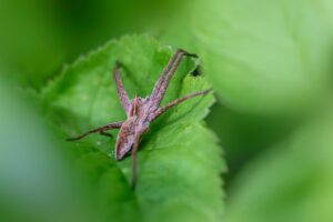 産後整体で兄弟同伴の託児サービスはどこで受けられる？