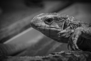 保育士在籍の産後整体で得られるメリットとは？