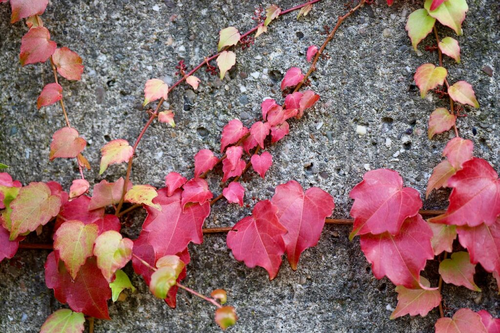 骨盤のセルフケアは産後にどのように行うべきですか？