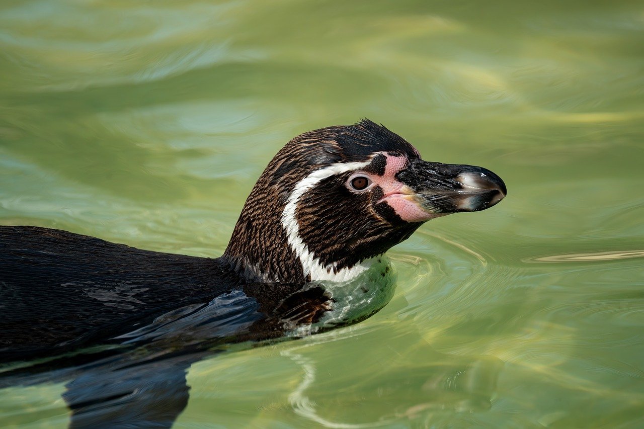 産後の骨盤ケアを自宅で行う方法は？
