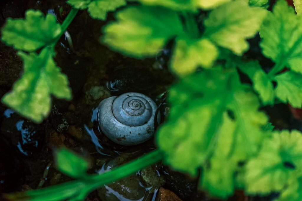 産後の骨盤骨格調整はどのように行うべきですか？