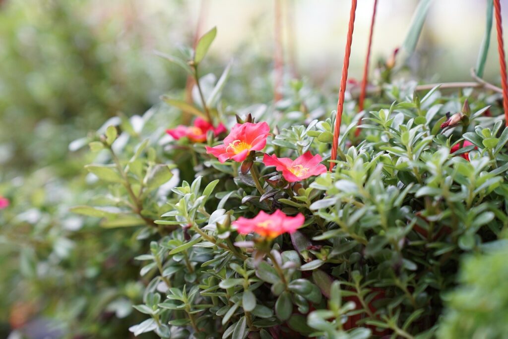 保育士在籍の整体はどのような効果が期待できる？