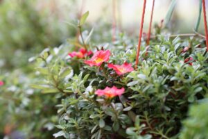 保育士在籍の整体はどのような効果が期待できる？