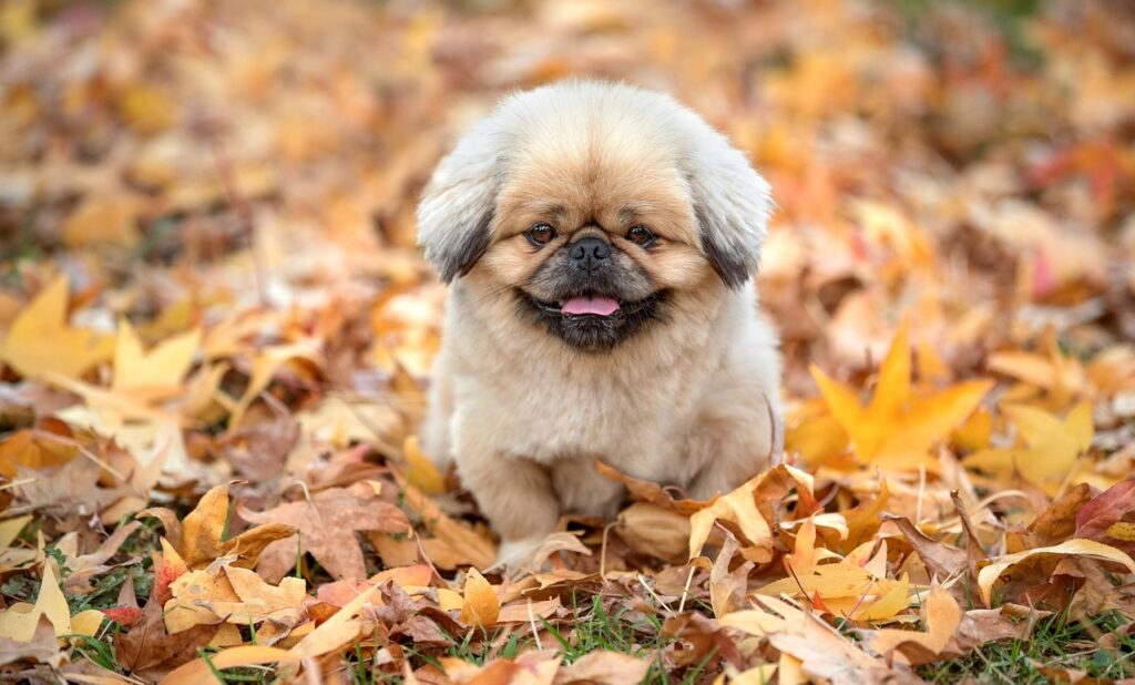 個室での施術は安心できるのか？